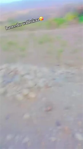 Celebrating Oromo Heritage on This Day