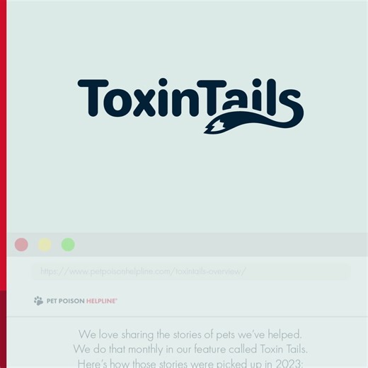 1.5K views · 43 reactions | What a year! In our 2023 Report Card, we reflect on 365 days of incredible work to help make the world a safer place for pets. Our staff worked 24/7 to care for your pets and we are thankful for your trust in us all year round to do just that. Cheers to a great year behind us and an even better year ahead!  | Pet Poison Helpline | Facebook