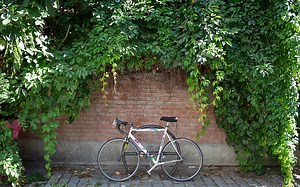 La biodiversité vous entoure et se cache parfois sous vos yeux ! (2/2)