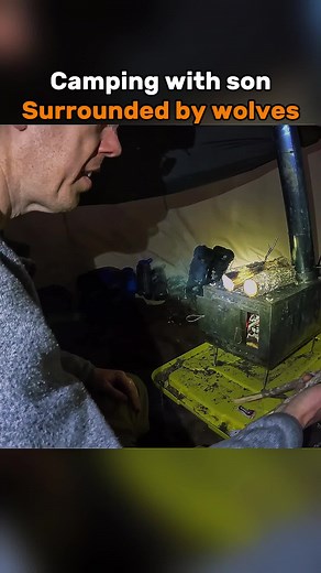 Camping With Wolves: An Unforgettable Experience