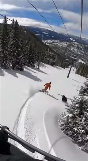 Bear Chases Snowboarder After Emerging From Trees Beneath Ski Lift Breckenridge, Colorado Footage filmed from a ski lift captured a tense moment on a snowy mountainside when a bear suddenly emerged from the tree line and began chasing an unsuspecting snowboarder below. The scene unfolds on a clear day, with fresh snow covering the slope and chairlift cables stretching overhead. As the snowboarder carves down the run, apparently unaware of anything behind them, the bear bursts out from behind a c