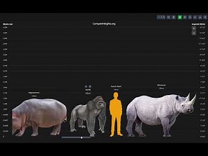 ANIMAL size comparison #heightcomparison #size #comparison
