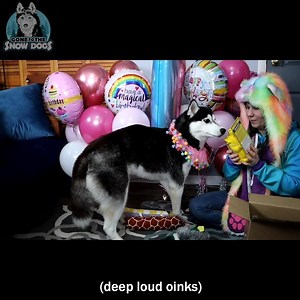 Opening Presents For Kira’s 1st Birthday! 🎁🎉 | Gone to the Snow Dogs