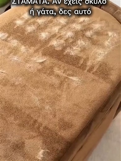 🐾✨ Τέλος οι τρίχες παντού! Με το γάντι συλλογής τριχών αφαιρείς εύκολα τις χαλαρές τρίχες από σκύλους & γάτες ενώ ταυτόχρονα τους κάνεις απαλό μασάζ! 💆‍♀️🐶🐱 🧤 Άνετη εφαρμογή στο χέρι 🪮 Μαζεύει τρίχες γρήγορα & αποτελεσματικά 🧼 Καθαρίζεται πανεύκολα ❤️ Ιδανικό για όλα τα είδη τριχώματος