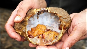 250K views · 2.8K reactions | Is Crab the EASIEST Seafood to Cook? 呂 #catchandcook | Fisherman's Life | Facebook