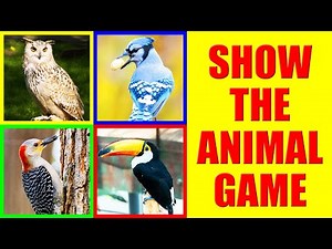 Show me the BIRD Game for Kids - Where is the bird?