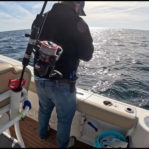 Catching Florida's most endangered species! | Bearded Brad