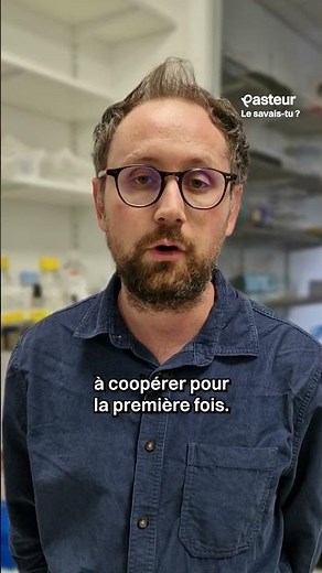 Le choanoflagellé : ton premier ancêtre