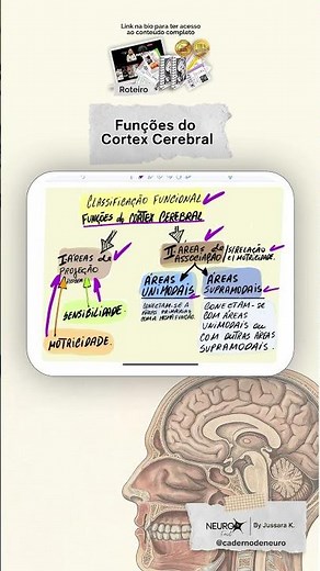 Córtex Cerebral