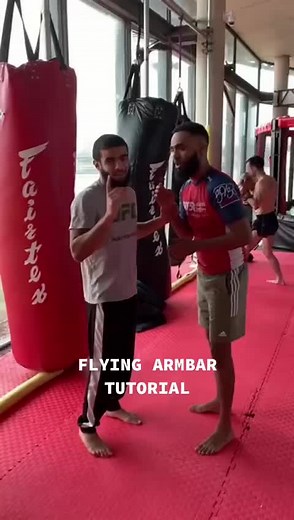 How to do a flying armbar #grappling #submission #mma #bjj #fyp