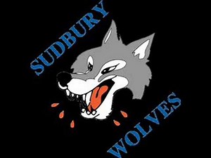 Sudbury Wolves Goal Horn