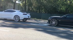 6.9K views · 88 reactions | Back to back camaros posted in front of the Shop | Carshow Customs | Facebook