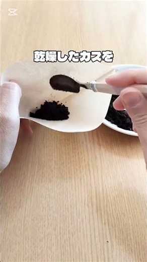 捨てないで！コーヒーかすの再利用術☕️✨