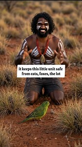 13K views · 5.4K reactions | Almost never seen and thought extinct for decades, the night parrot is one of Australia’s rarest birds. This tiny, nocturnal ground-dweller hides in spinifex by day and only moves under cover of darkness — a true outback ghost. #facts #learning #animalfacts #DidYouKnow #australia #australianwildlife #NightParrot | Keagan Mason | Facebook