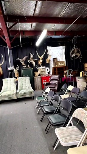 Big Country Auction Co on Reels