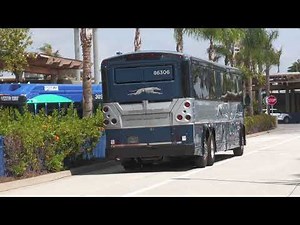 Greyhound Bus Lines Inc. - MCI D4505 #86306 at Oceanside Transit Center