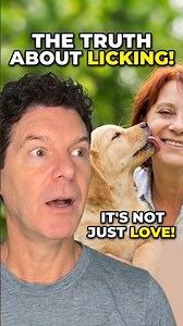 Why Your Dog Licks You: It's More Than Just Affection! #shorts