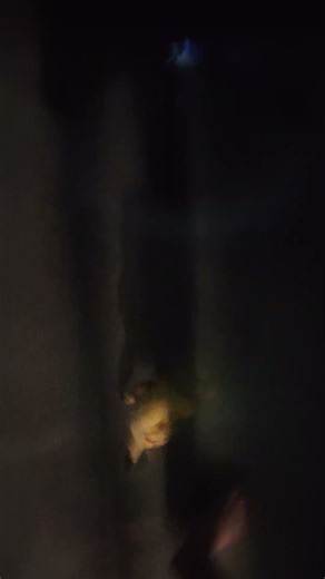 Creepy Pikachu at 3AM