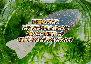 琵琶湖で話題！デプスのブルフラット5.8インチの使い方・使用フック・琵琶湖プロガイドのおすすめタックルセッティングをご紹介♪ | BLINK