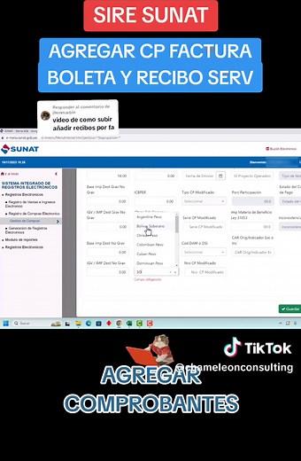 Agregar Comprobantes al SIRE: Guía Práctica