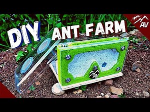 How to make a Formicarium | DIY Ant Farm for Pet Ant Colony