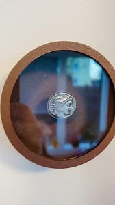 Showcoin - Bark Brown - Coin Holder - Coin Display - Coin Frame - Etsy