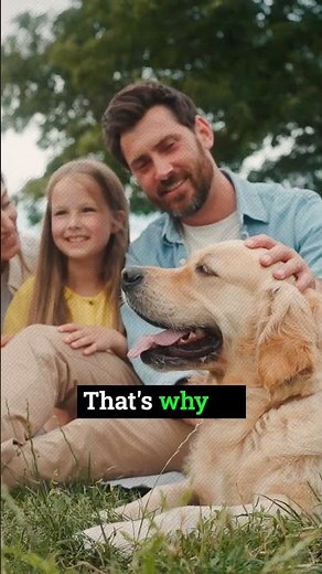 Safety in Dubai for UK Expats: Dubai Safety Guide for British Residents Explained | #MeydanFreeZone