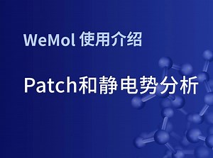 WeMol教程_15| 蛋白质patch和静电势分析