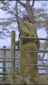 2.1K views · 176 reactions | Behind the scenes of an epic giraffe...