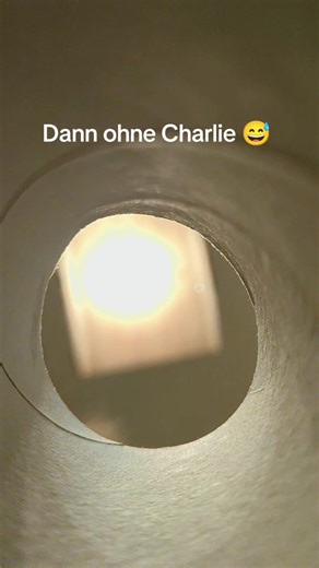 Arbeiten für Fressen? was denkt ihr darüber? #katzentiktok #lustigekatze #catsoftiktok #fyp #katzenhumor