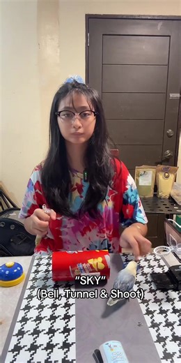 Sky Tricks: Bell, Tunnel & Shoot with Love Birds