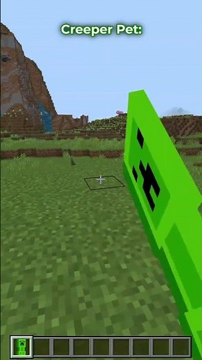 Ranking Every Minecraft Inventory Pet #minecraft #minecraftmods #mcpe #mcpedl #moddedminecraft