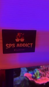 Incredible tank powered by Aquaforest! 💜 🎥: @peppe_reef | Aquaforest