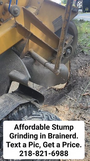 Watch this stubborn stump disappear in seconds ⚡💥 From eyesore to fresh ground in no time. Stump grinding done right—fast, clean, and satisfying to watch. 🌲🪓 #stumpgrinding #stumpremoval | Simply Stump'n