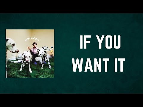 Rex Orange County - IF YOU WANT IT (Lyrics)