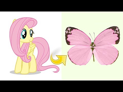 MLP Fluttershy as Butterfly My Little Pony