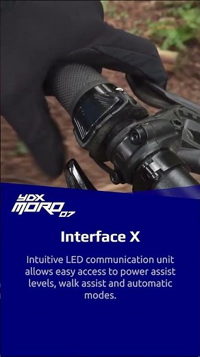 YDX-Moro 07 | Interface X