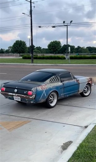 Ratty Ford Mustang fastback patina paint 1966 1965 1967 1968 racing 289 v8 390 fairlane galaxy