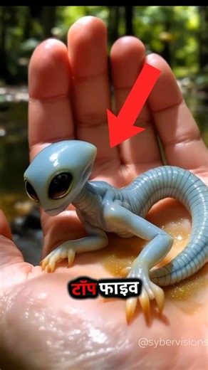 Top 5 Cute Animals That Can Kill You in Seconds 😱 #shorts