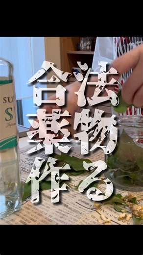 【ドクダミチンキ】ズボラ主婦の余ったお酒で最強の虫除け作り #ていねいな暮らし #40代主婦 #日常vlog #ドクダミチンキ