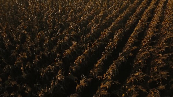 285K views · 2.8K reactions | Foi aqui que pediram uma novidade? ...