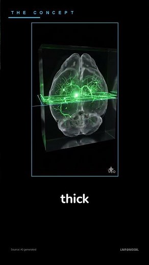 What Can Light Microscopy Actually Show You? 🔬