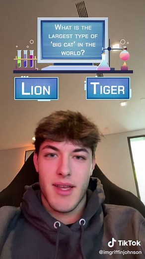 Engaging Space and Astronomy Quiz for Enthusiasts