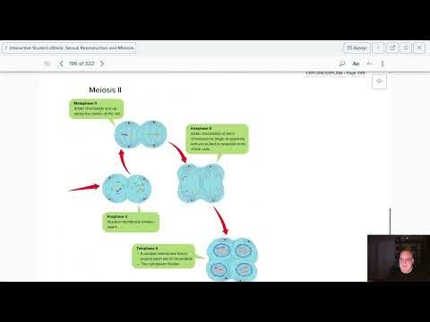 7th Grade - Sexual Reproduction and Meiosis