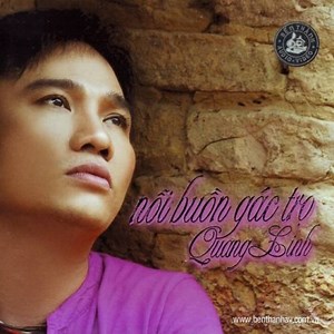 Mùa Đông Của Anh - Quang Linh | NHAC.VN