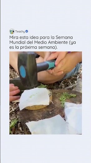 Mira esta idea para la Semana Mundial del Medio Ambiente 🌎✨