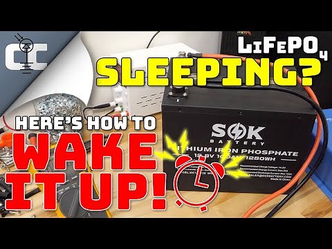 How to Wake a Sleeping LiFePO4 Battery 🔋 Charge a Fully Depleted Lithium Iron Phosphate Battery
