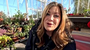 48K views · 5.3K reactions | Hartley Christmas Tree, Artichoke...