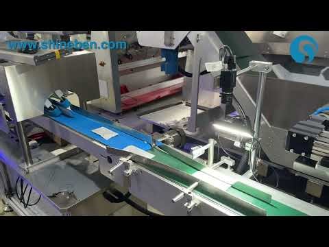 Automatic Sachet Sorting and Orientation Machine | Vision Inspection & Alignment System