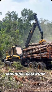 582 reactions | Ponsse Ergo & Elephant King doing perfect teamwork in US forests欄蝹 | FinnHarvest Oy | Facebook